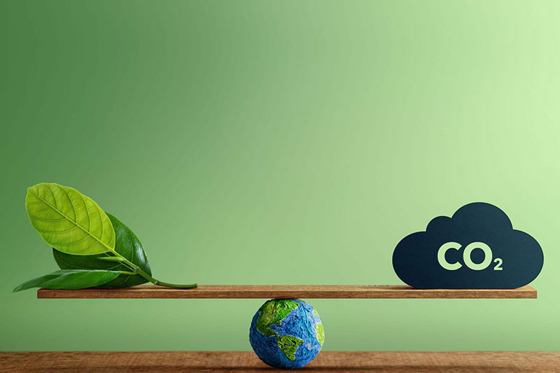 La compensación como complemento a la reducción de la huella de carbono