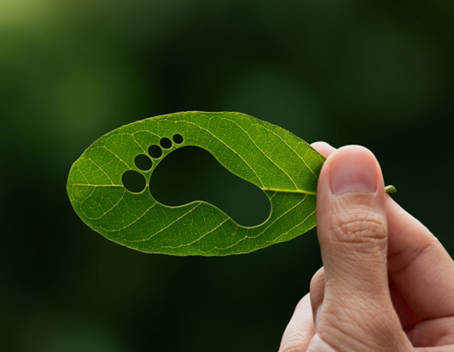 Huella de Carbono: Cálculo, verificación, registro y publicación.