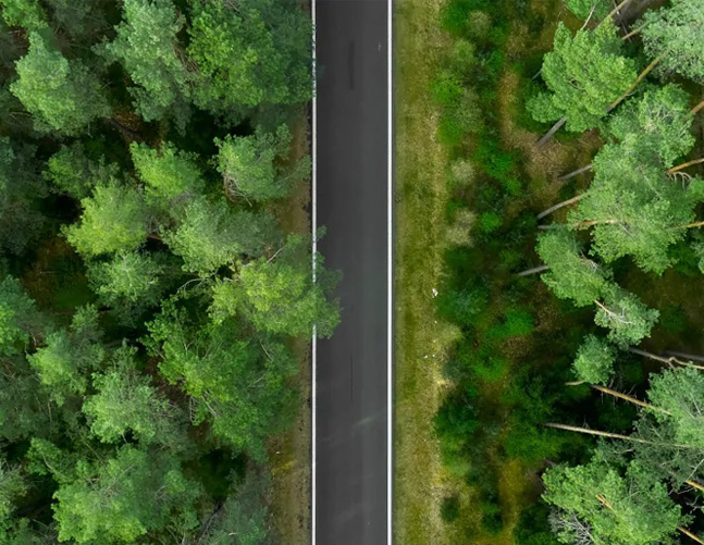 Smart Mobility: Pásate al vehículo eléctrico y ahorra hasta un 90%.